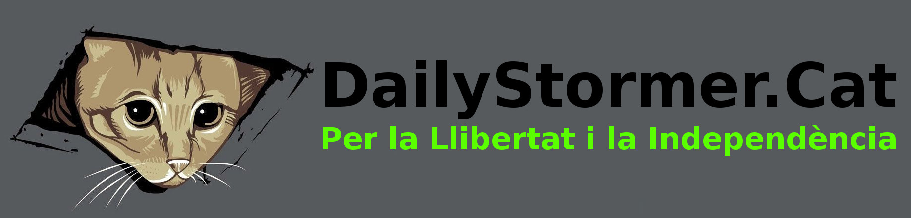 Daily Stormer
