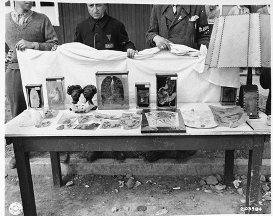 It has been admitted that the shrunken heads, skin lampshades and Jew soap presented to the German people after the war were all fabrications of the Jewish-run Psychological Warfare Department of the United States.