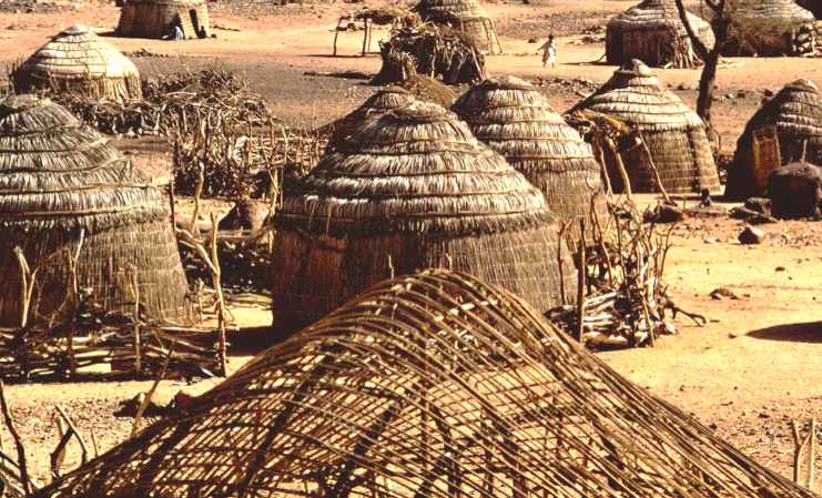 Africa.