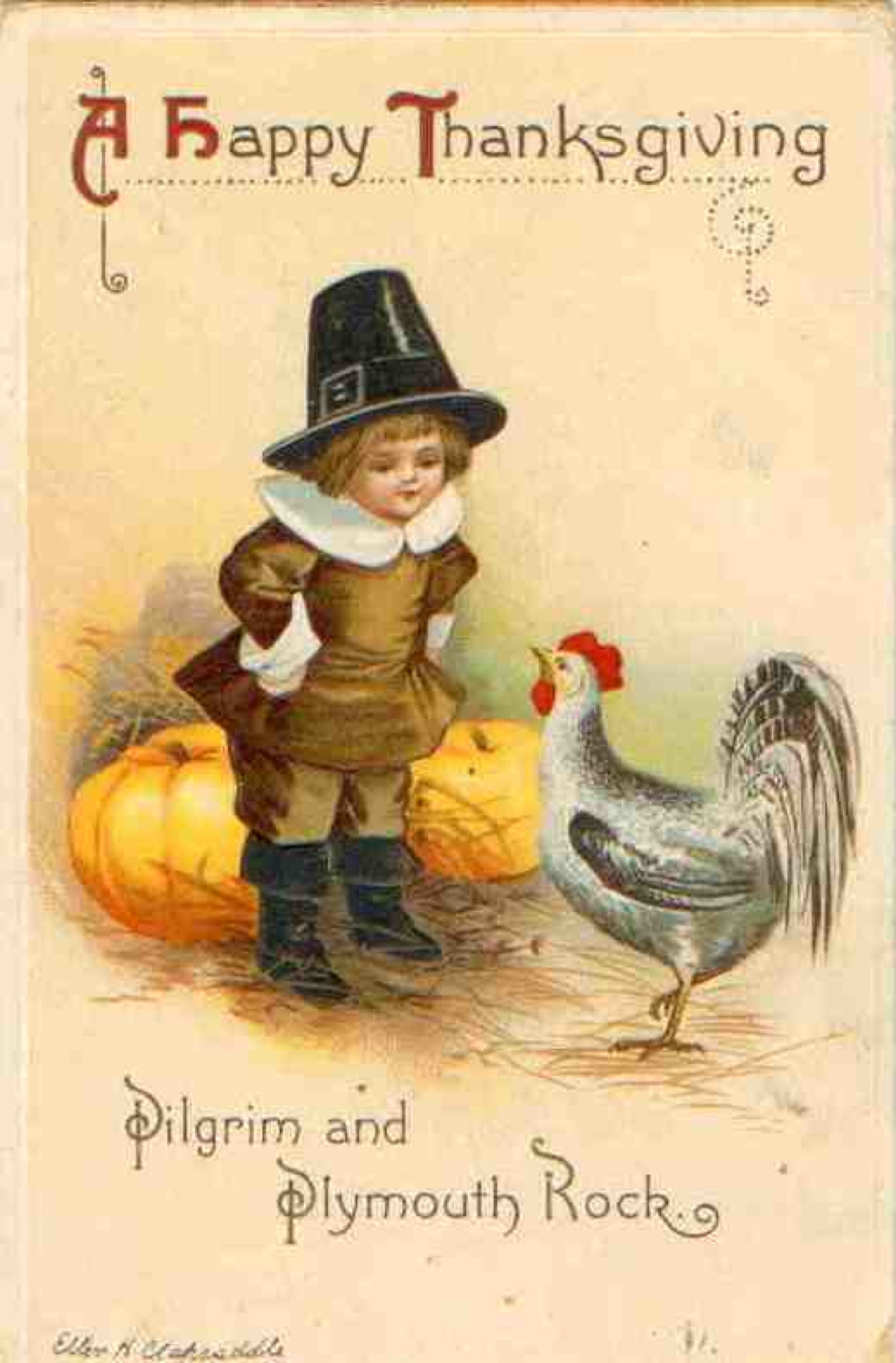Boy and Turket