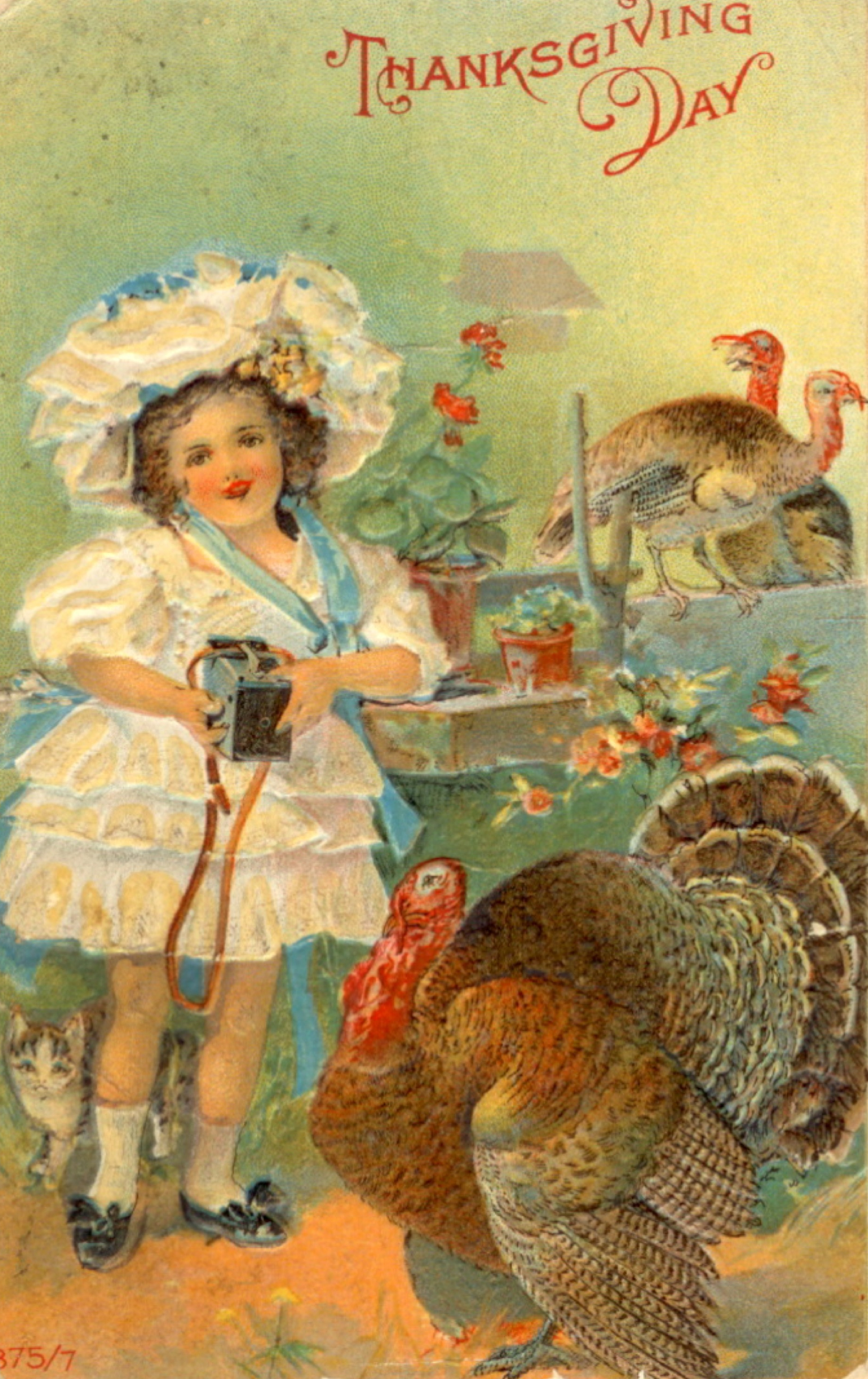 Thanksgiving 3