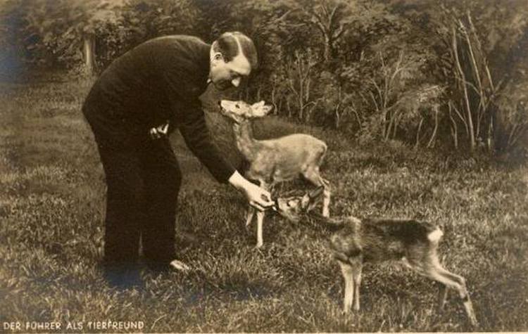 The deer loved him.