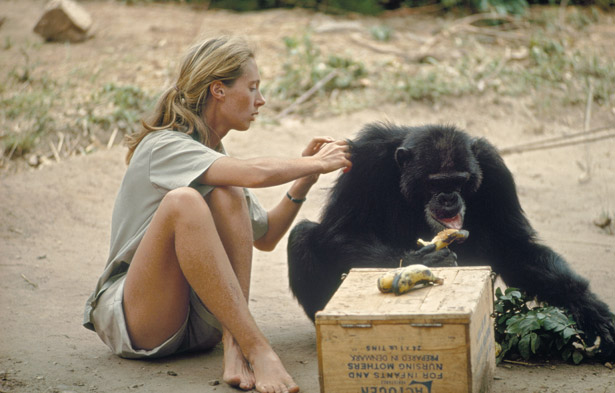 Marine Le Pen apparently fancies herself a Jane Goodall figure.