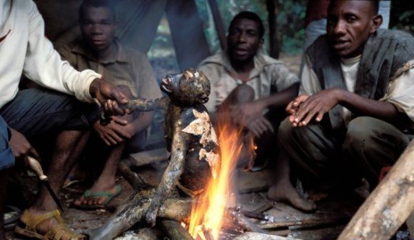 Typical fast food in Liberia when there are no tasty humans available.