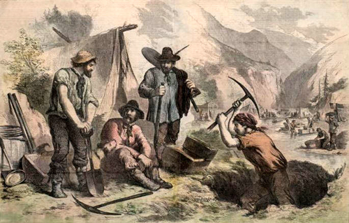 California Gold Miners