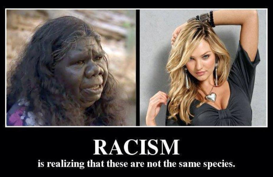 “a more plausible interpretation might have been that both current Africans and non-Africans descended separately from a more ancient common ancestor, thus forming a proverbial fork”