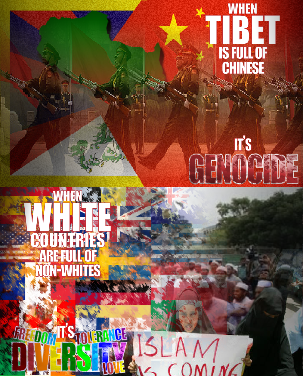 When Tibet is full of Chinese it’s Genocide. When White countries are full of non-Whites it’s “diversity”.