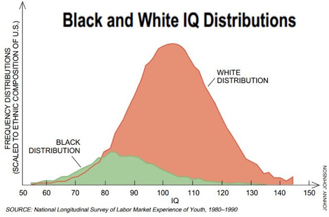 iq5 iq5