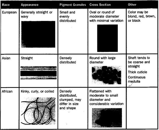 racial_ethnic_differences racial_ethnic_differences