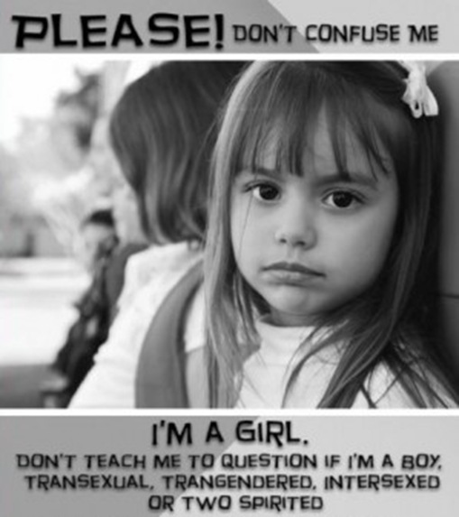 Hawkblocker-National-Post-anti-transgender-ad-crop-299x337 Hawkblocker-National-Post-anti-transgender-ad-crop-299x337