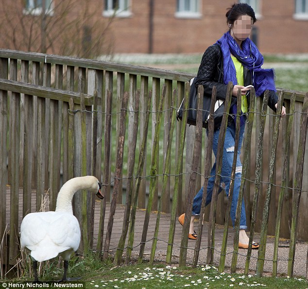 "We can't feel safe in our own nests will all these bloody pakis about, can we then?" -Racist Swan