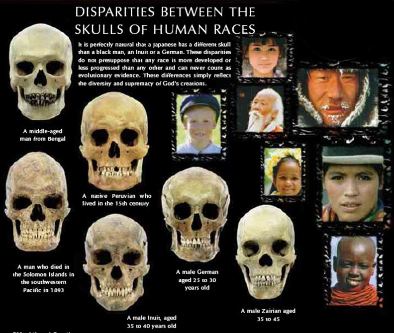 6a00d83451dfb969e20112790b003128a4