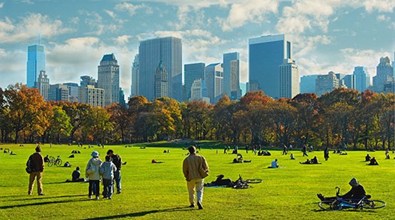 ny_central_park ny_central_park