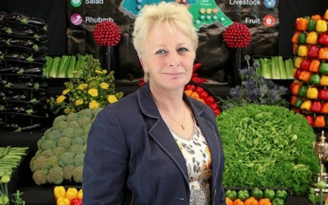 jane-collins-ukip 2 jane-collins-ukip 2