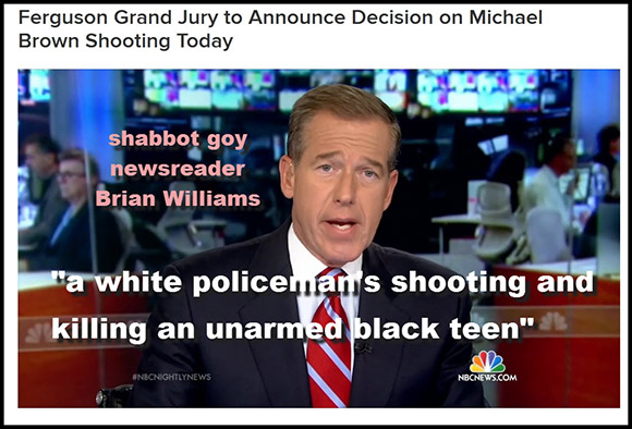 brian-williams-fergusonweb