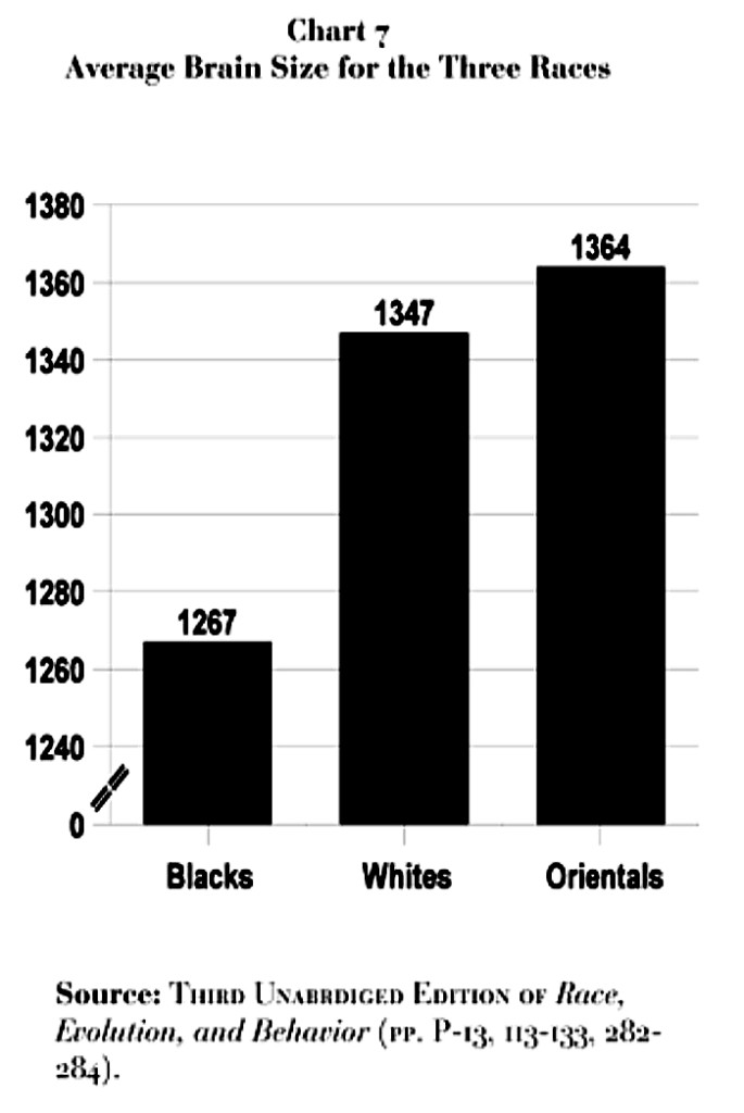 Race Evolution Behavior 6