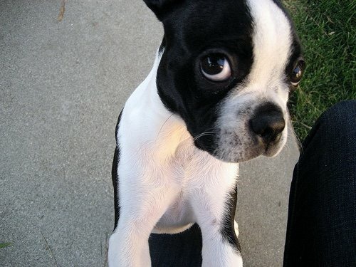 img_0513 img_0513