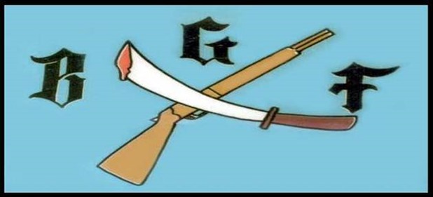 bgf6 bgf6