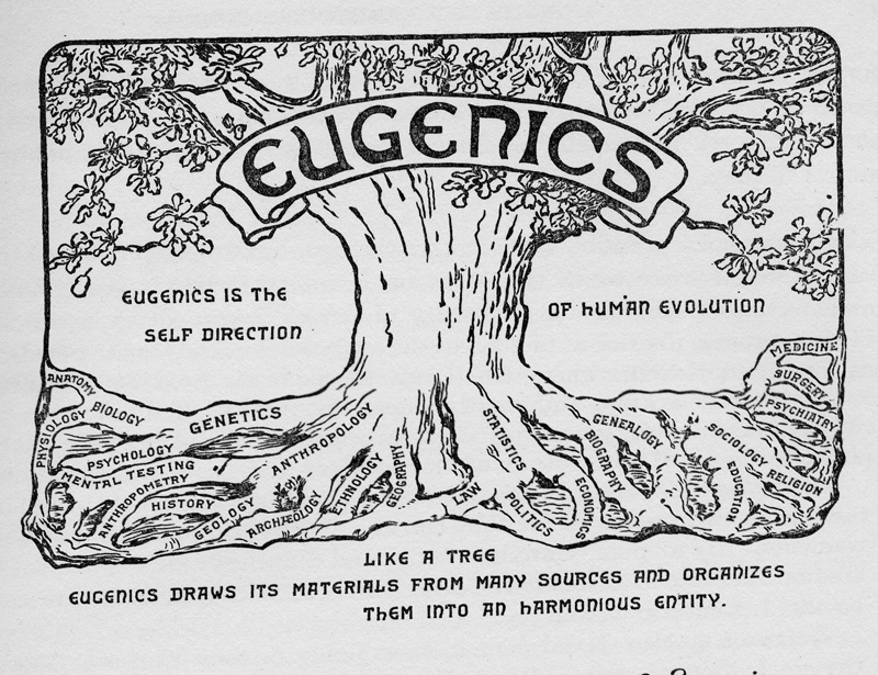 Before cultural Marxism, heredity was believed to be a science which applied to humans and not merely animals.