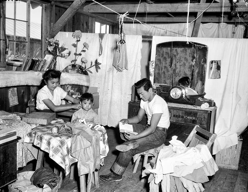 "Internment happy-happy-happy. Me love camp long time." -Japanese woman on her time being interned in a camp during WWII.
