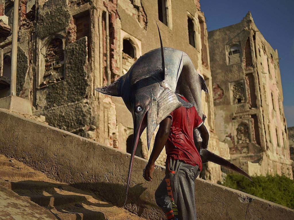 Meanwhile, in Mogadishu... Mogadishu is now the most normal of all places.