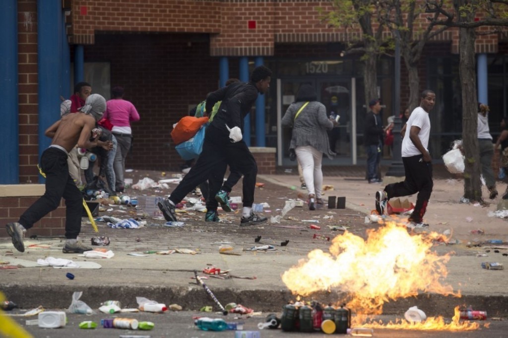 baltimore chimps