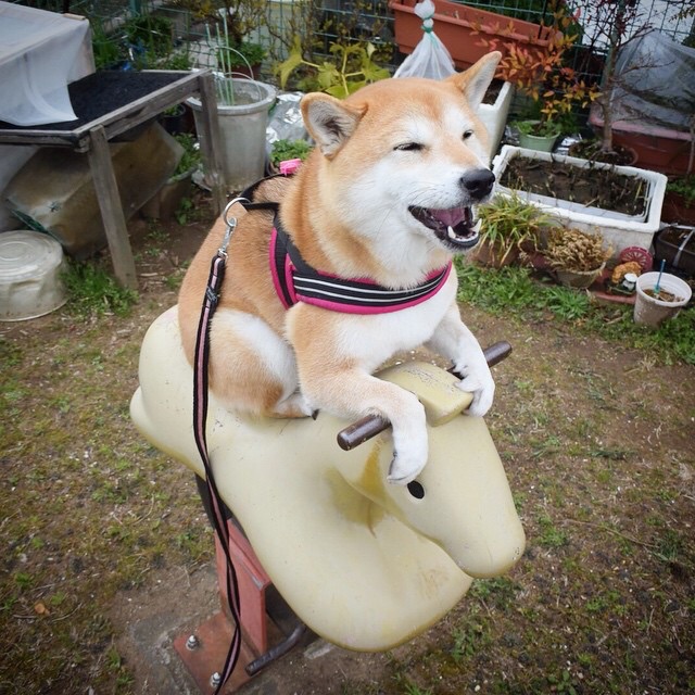 Remember to enjoy life. It is too short not to.