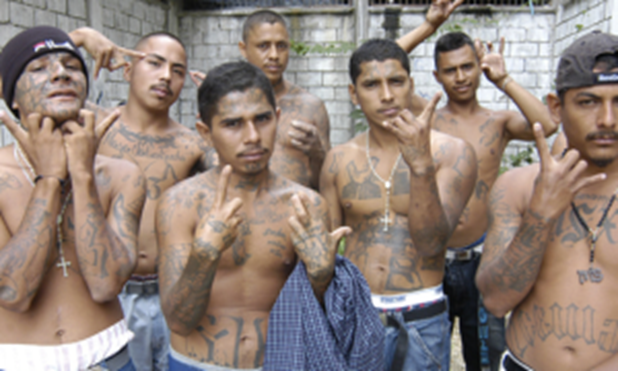 mexicangang