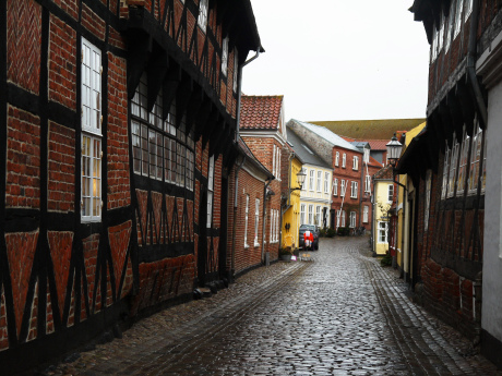 Ribe (oldest town in Denmark) does not need colored folk.