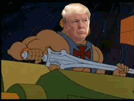 bagless cat trump
