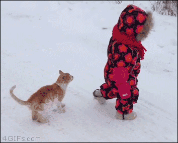 takedown