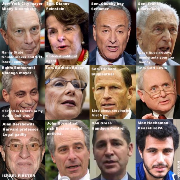 Jewish-Gun-Control-Agenda