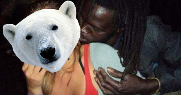polar bear female