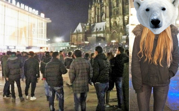polar cologne