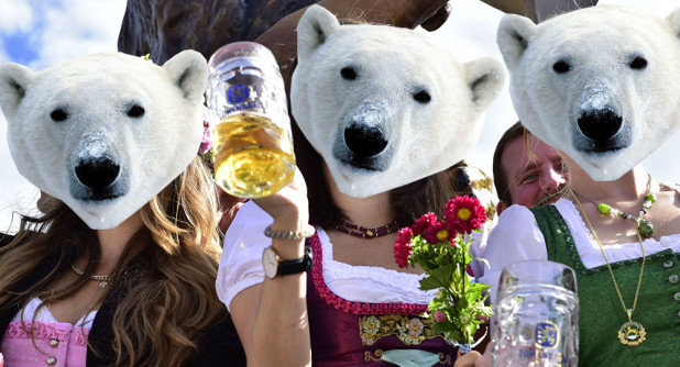 polar sluts