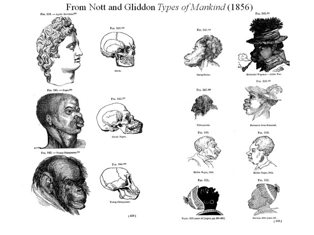 BRBIII_SLAS_facultyseminar_Until_darwin_nov42011_slides_18