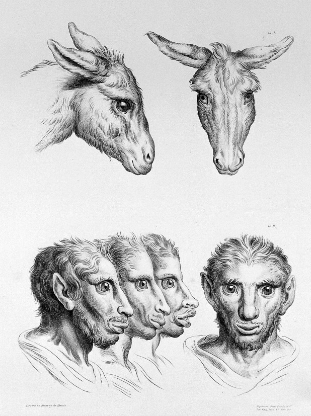 L0010065 The relation between the human physiognomy and that of the