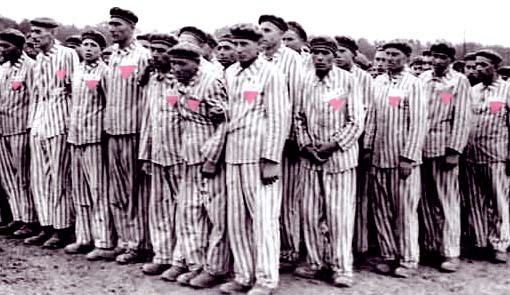 gayholocaust