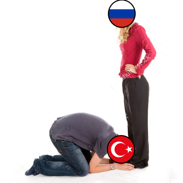 turquey kneels