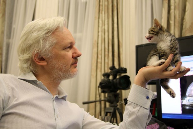 This is an undated handout photo issued by Sunshine Press made available Tuesday May 10, 2016  of WikiLeaks founder Julian Assange with a kitten in Ecuador's embassy in London . It may not be so lonely for WikiLeaks founder Julian Assange in the embassy quarters he's called home for nearly four years. Now he has a kitten to keep him company.The kitten had not been named yet. (Sunshine Press/Wikileaks via AP)
