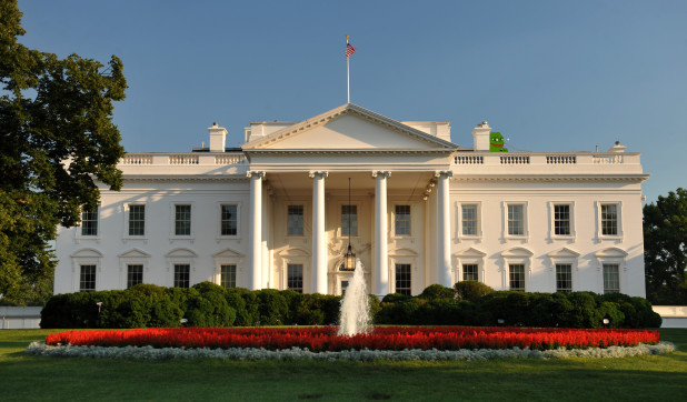 pepewhitehouse
