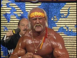 Hulk Hogan Swim Flex