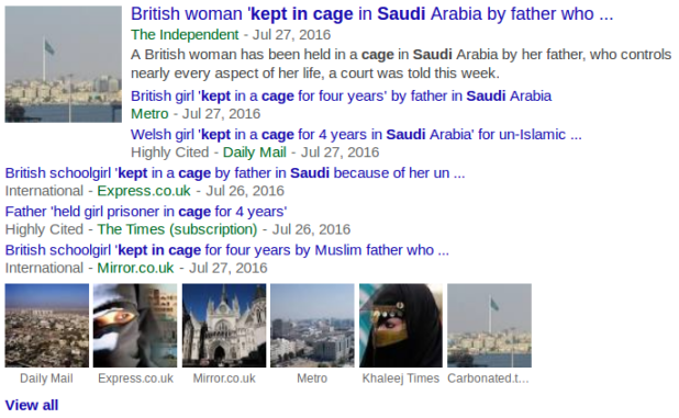 daily-stormer_319