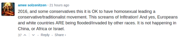 daily-stormer_999314