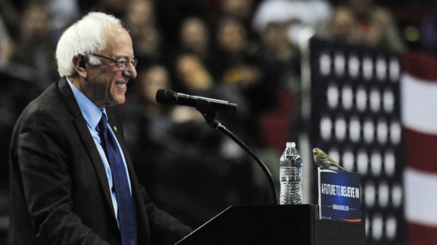 bernie-3