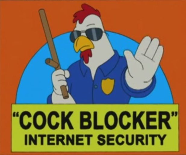 cockblock internet security